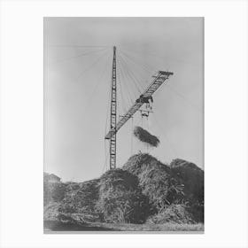 Untitled Photo, Possibly Related To Unloading Sugarcane From Special Trailer At Sugar Mill Near Jeanerette, Louisiana Canvas Print