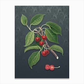 Vintage Sour Cherry Botanical on Slate Gray Pattern n.0507 Canvas Print