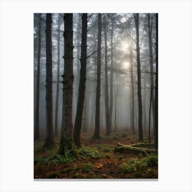 Foggy Forest Canvas Print