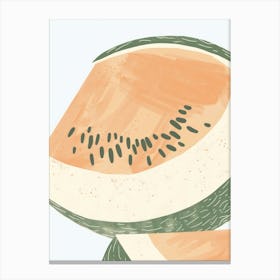 Cantaloupe Close Up Illustration 4 Canvas Print