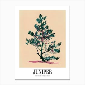 Juniper Tree Colourful Illustration 3 Poster Canvas Print