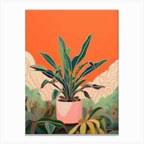Boho Plant Painting Dracaena Plant 2 Canvas Print