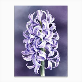 Hyacinths Canvas Print