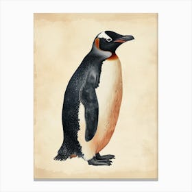 Adlie Penguin Cooper Bay Vintage Botanical Painting 1 Canvas Print