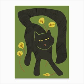 Cat Play Canvas Print