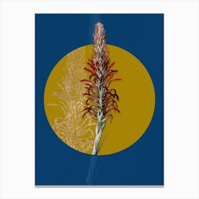 Vintage Botanical Pitcairnia Latifolia on Circle Yellow on Blue Canvas Print