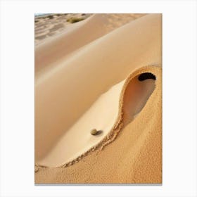 Sand Dune In The Desert Canvas Print