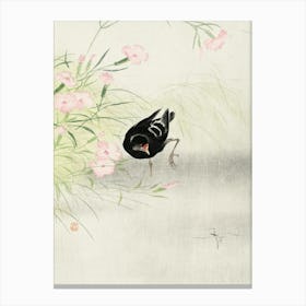 Moorhen At Flowering Plant (1900 1936), Ohara Koson Canvas Print