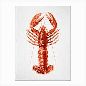 Lobster - Watercolor Canvas Print