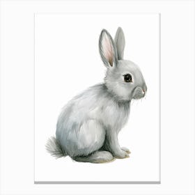 English Silver Rabbit Kids Illustration 2 Canvas Print