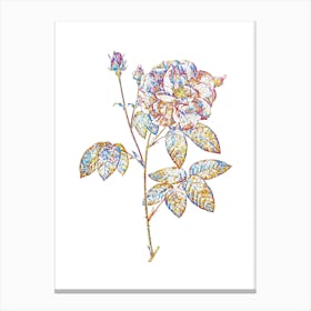 Stained Glass French Rose Mosaic Botanical Illustration on White n.0333 Canvas Print