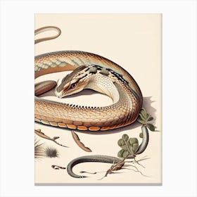 Rattlesnake 1 Vintage Canvas Print