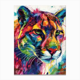 Cougar Colourful Watercolour 3 Canvas Print