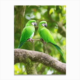 Green Junggle Parakeets Canvas Print