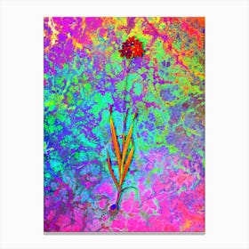 Orange Ixia Botanical in Acid Neon Pink Green and Blue Canvas Print