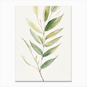 Willow Leaf Minimalist Watercolour 1 Canvas Print