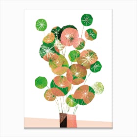 Pilea In Green And Coral Canvas Print