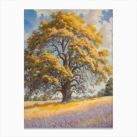 Tree In A Field 4 Canvas Print