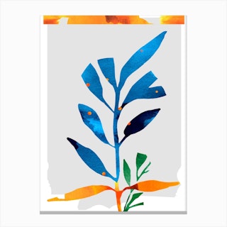 Blue And Ornage Botanicals Canvas Print