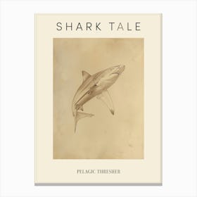 Pelagic Thresher Vintage Illustration 2 Poster Canvas Print