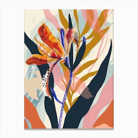 Colourful Flower Illustration Kangaroo Paw Flower 2 Canvas Print