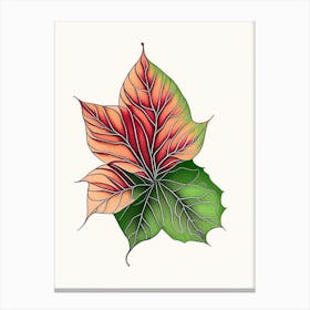 Poinsettia Leaf Warm Tones Canvas Print