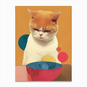 Not-really-happy Cat 2 Canvas Print