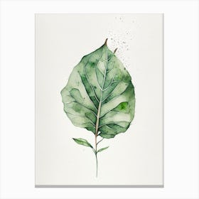 Petunia Leaf Minimalist Watercolour Canvas Print