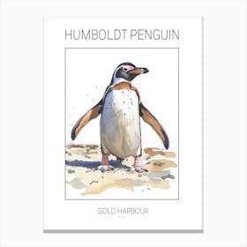 Humboldt Penguin Gold Harbour Watercolour Painting 4 Poster Canvas Print