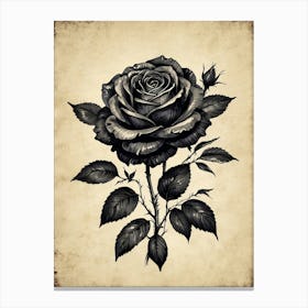 Black Rose Canvas Print