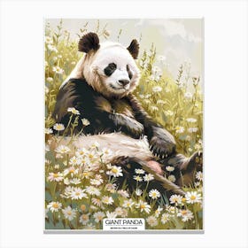 Giant Panda Resting In A Field Of Daisies Poster 9 Canvas Print