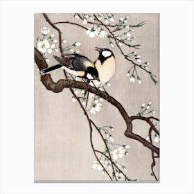 Blue Tits on a Cherry Blossom Branch Vintage 19th Century Birds Painting Canvas Print