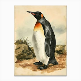 Adlie Penguin King George Island Vintage Botanical Painting 1 Canvas Print