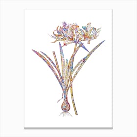 Stained Glass Golden Hurricane Lily Mosaic Botanical Illustration on White n.0161 Canvas Print