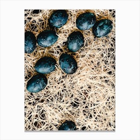 Easter Eggs On Hay Canvas Print