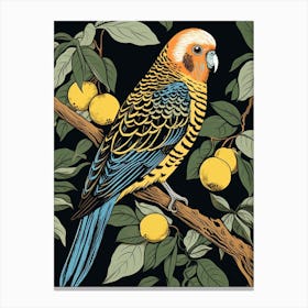 Vintage Bird Linocut Budgerigar 4 Canvas Print