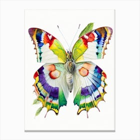 Brimstone Butterfly Decoupage 2 Canvas Print