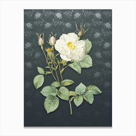 Vintage White Rose of York Botanical on Slate Gray Pattern n.2293 Canvas Print