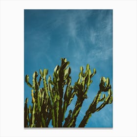 Cactus Sky Canvas Print