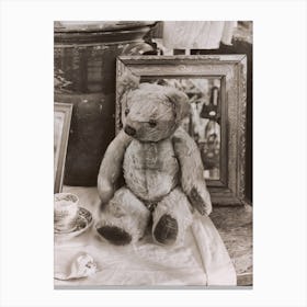 The Little Teddy Bear Canvas Print