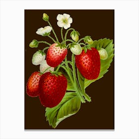 Strawberry Bouquet Canvas Print