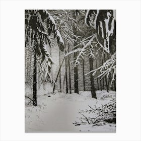 Snowy Forest Canvas Print