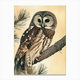 Boreal Owl Vintage Illustration 4 Canvas Print