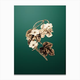 Gold Botanical Aiton's Ipomoea Flower on Dark Spring Green n.4148 Canvas Print