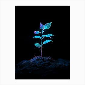 Neon Plant In The Dark 1 Canvas Print