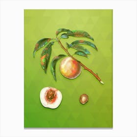 Vintage White Speckled Peach Botanical Art on Love Bird Green n.2006 Canvas Print
