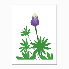 Purple Lupin Flower Canvas Print