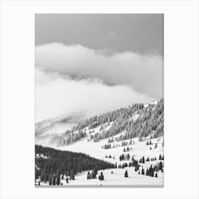 Heavenly, Usa Black And White Skiing Poster Canvas Print