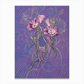 Vintage Large Purple Chilian Evening Primrose Botanical Illustration on Veri Peri n.0140 Canvas Print