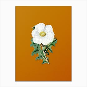 Vintage Mexican Poppy Flower Branch Botanical on Sunset Orange n.0797 Canvas Print